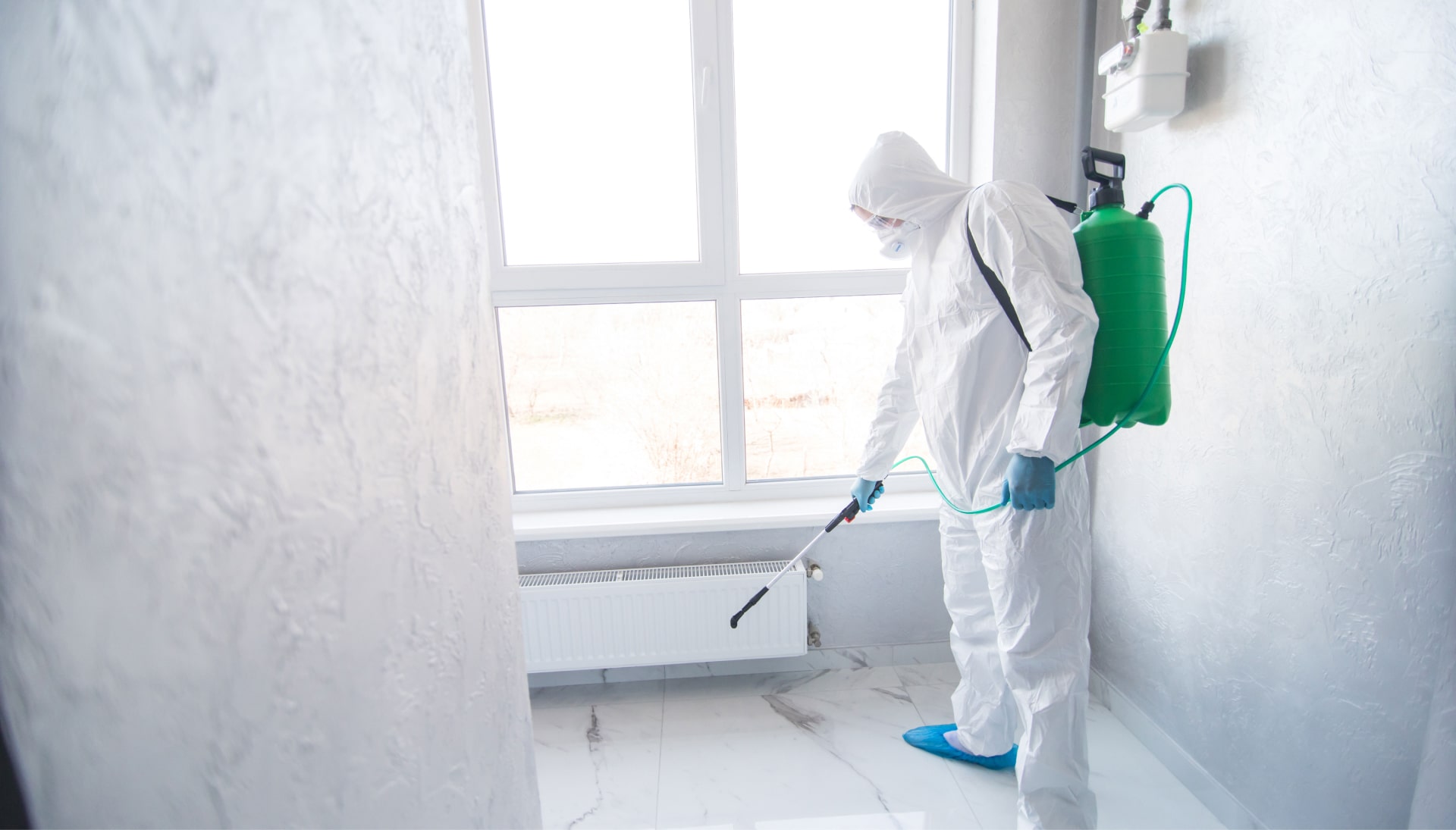 Mold Inspection Services in Oklahoma City